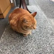 takeの画像
