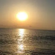SUNの画像