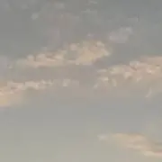あんこ