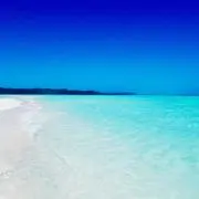 ぱるるの画像