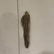 ykの画像