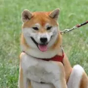 太郎