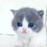 りふぁ
