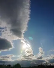 としの画像