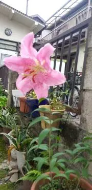 N・プロフィール必読の画像