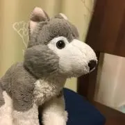 コロ丸の画像