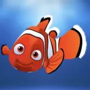 ネモの画像