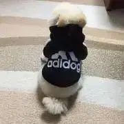 まるの画像