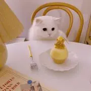 ひなたの画像
