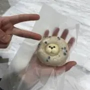 マシューの画像