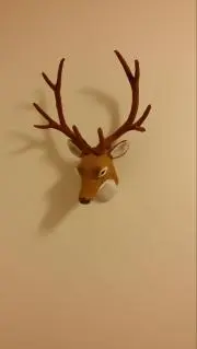 コムコムさんの画像
