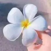 RIHOの画像