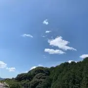 とりゃ〜の画像