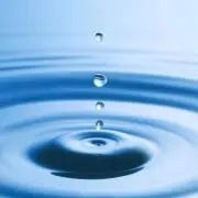 ひだまり
