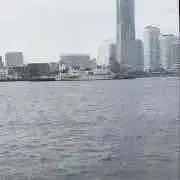 フラワーの画像