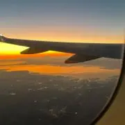 えびの画像
