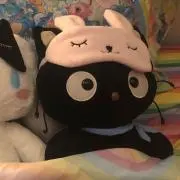 ひなの画像