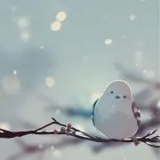 nonoの画像