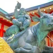 おひょいの画像