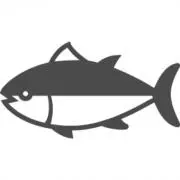 マグロの画像