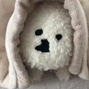 たいらの画像