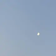 しほ