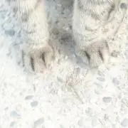 もと
