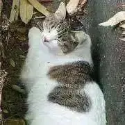 6mama★プロフ必読★の画像