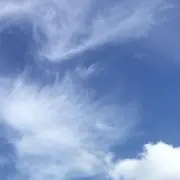 おれおの画像