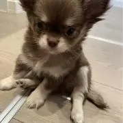 こんにちは