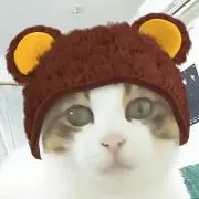 ゆい⭐しゅうの画像