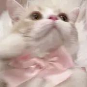 Y♡の画像