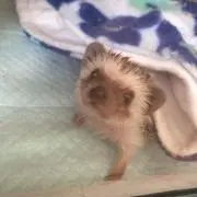 うにまるショップ♡の画像