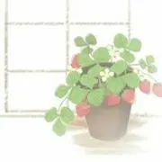 はる(プロフご確認ください)の画像