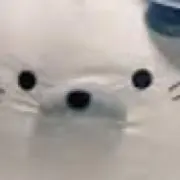 Tyuの画像