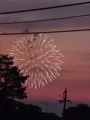 ✨️みゆ✨️の画像