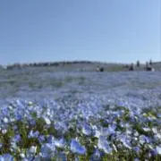 Image of もちもち
