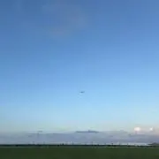 ぶぶの画像