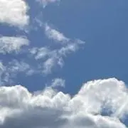 kinako