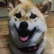 まやちゃん