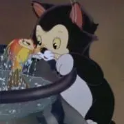 フィガロの画像