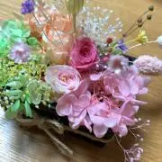 Nの画像
