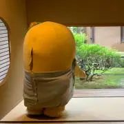 kumassyiの画像