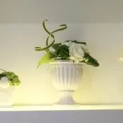 MKmamaの画像
