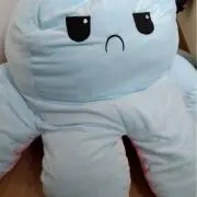 haの画像
