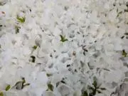 価格お値下げ中（期間限定）の画像
