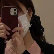 紫苑の画像