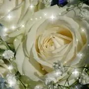 【断捨離真っ最中】裸足の女神