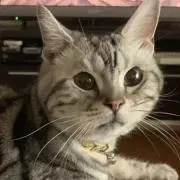 ✿むぎ