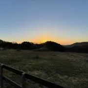 モヴシスタの画像